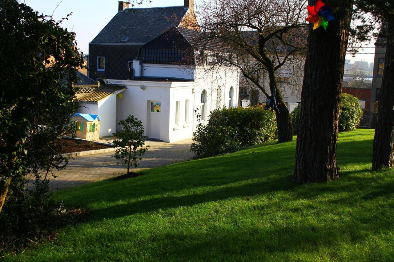 Gite De La Conciergerie Du Cheval Blanc Luttre Exterior foto